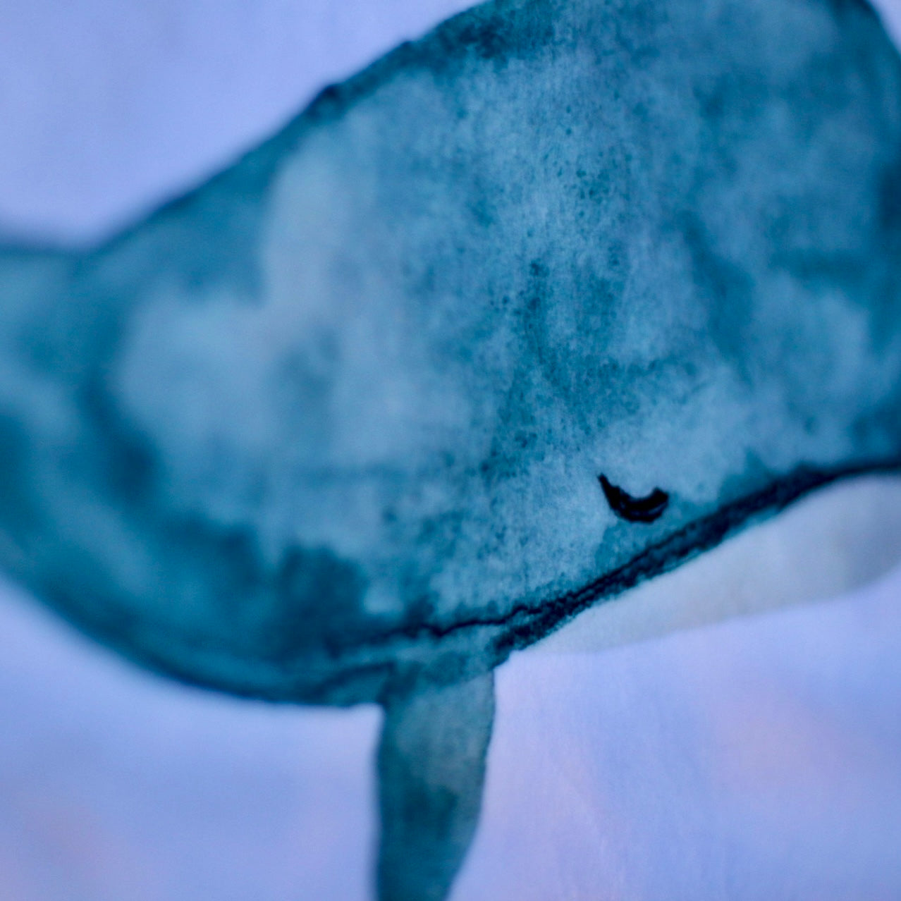 I “Whale” Always Love You