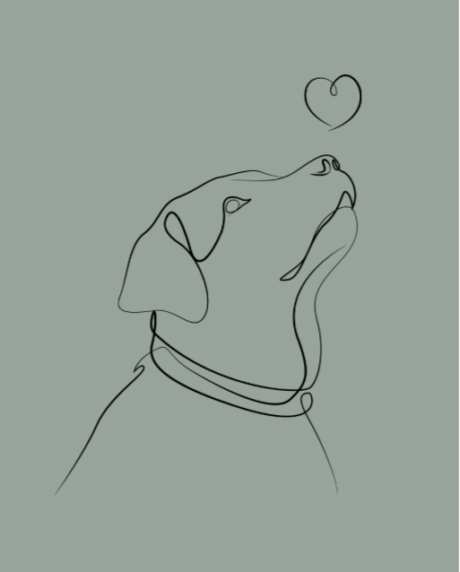 Pet Image - Gift Card