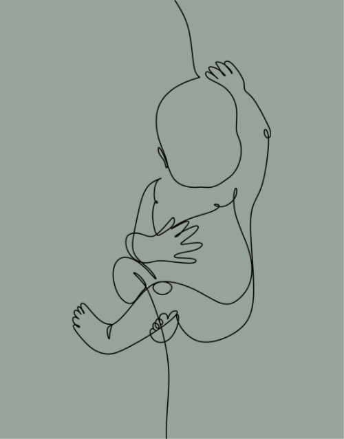 New Baby (2) - Gift Card